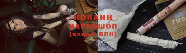 ГАЛЛЮЦИНОГЕННЫЕ ГРИБЫ Алзамай