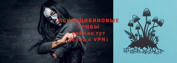 спиды Алексеевка