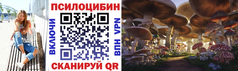 Галлюциногенные грибы прущие грибы  Шумиха 
